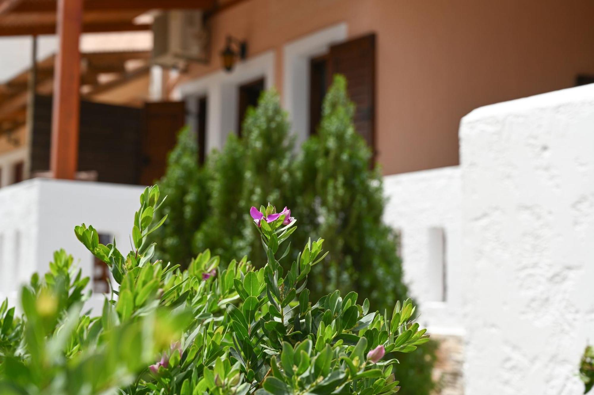 Garden House Xerokampos Apartment Xerokampos  Exterior foto